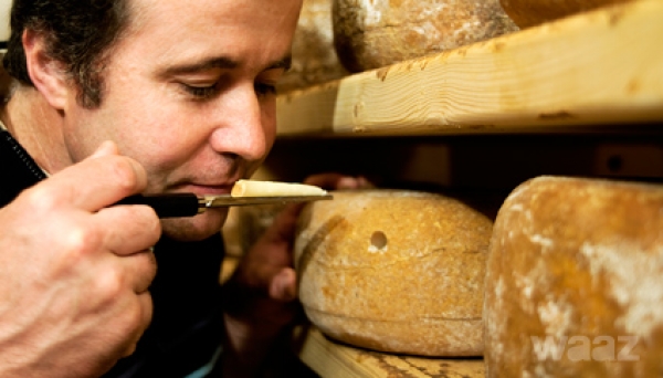 Fromage800g Brebis/Chèvre